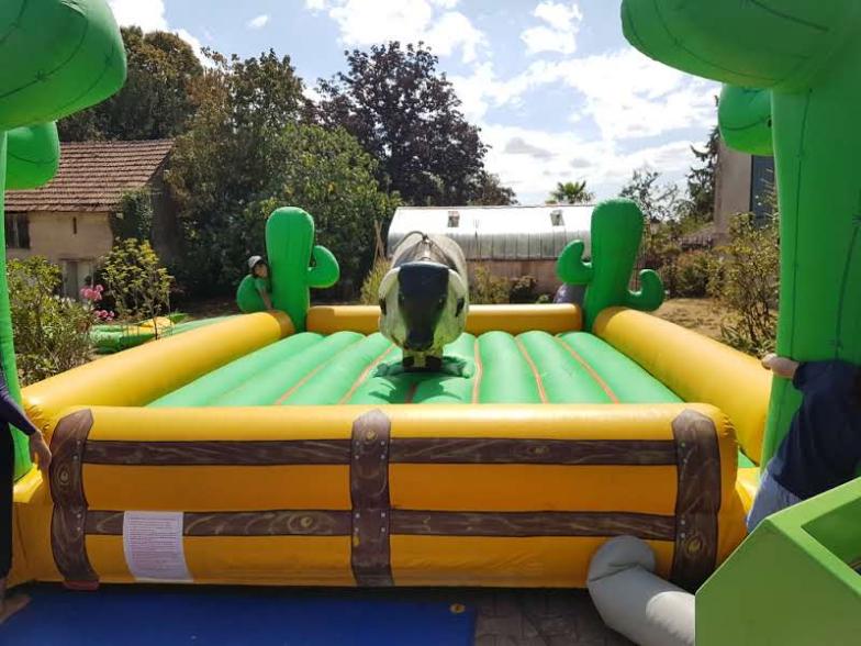 Location jeu Noël Lyon